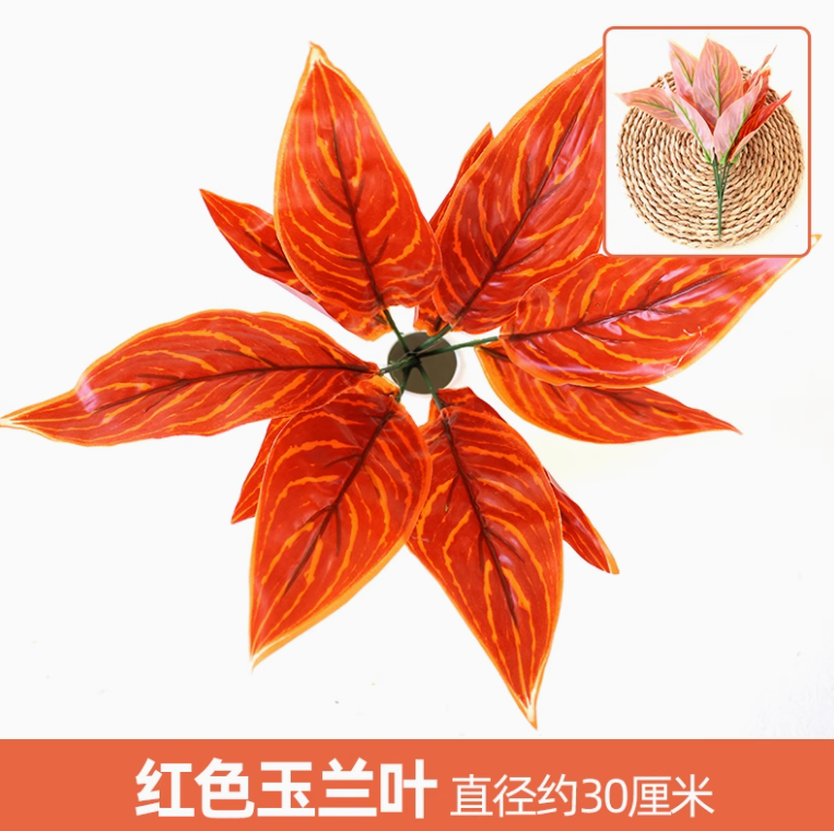 花色1枝花色1枝1枝1枝1枝