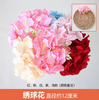 绿色植物，模拟的植物墙，塑料草坪，阳台，室内背景，花墙，天蓝色绣花球，5个树枝，颜色音符