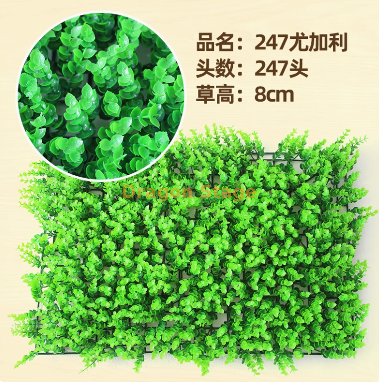 加密247尤加利