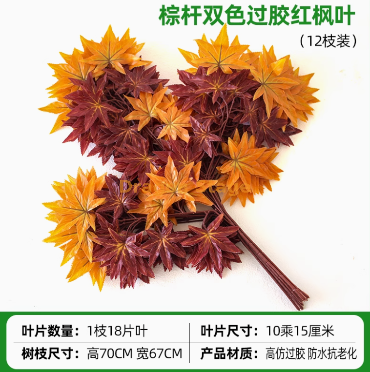 （12枝） 