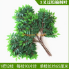 模拟的榕树叶，红枫叶，银杏叶，室内假树枝，珍贵蓝色，3架橡胶榆树，12个树枝