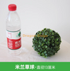 模拟的红枫叶叶墙悬挂假树叶万圣节主题展示米兰草球 - 直径13厘米