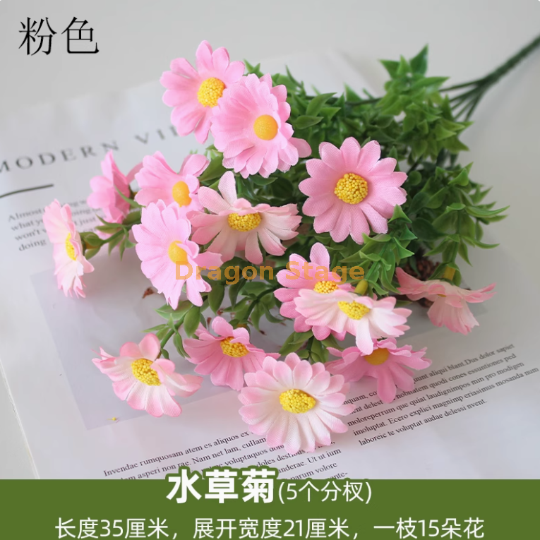 菊粉红色水草菊